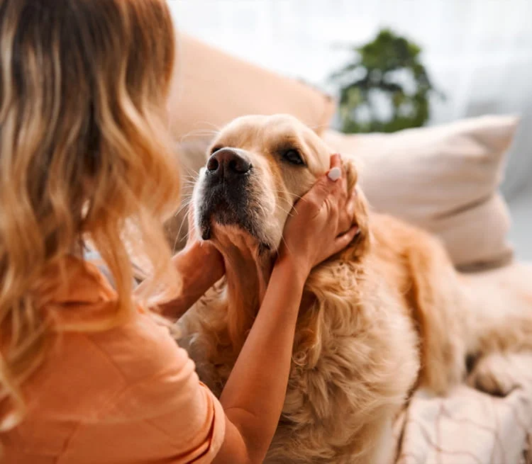 A woman petting her dogs head