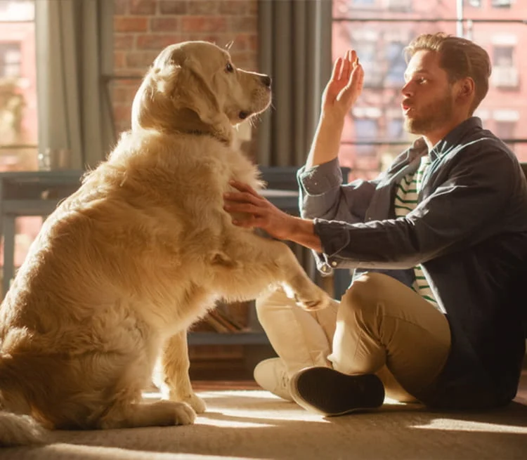 man sitting on the ground with his dog